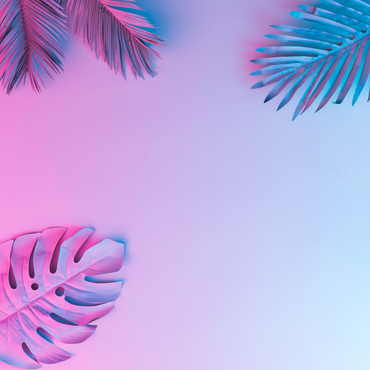 Tropical and palm leaves in vibrant bold gradient holographic neon  colors. Concept art. Minimal surrealism background.